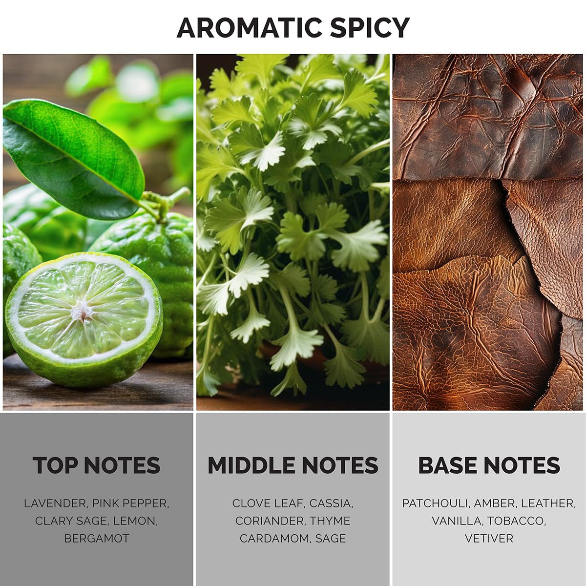 MAISON DE L'AVENIR VORTEX ECHO EDP 3.4 U-2