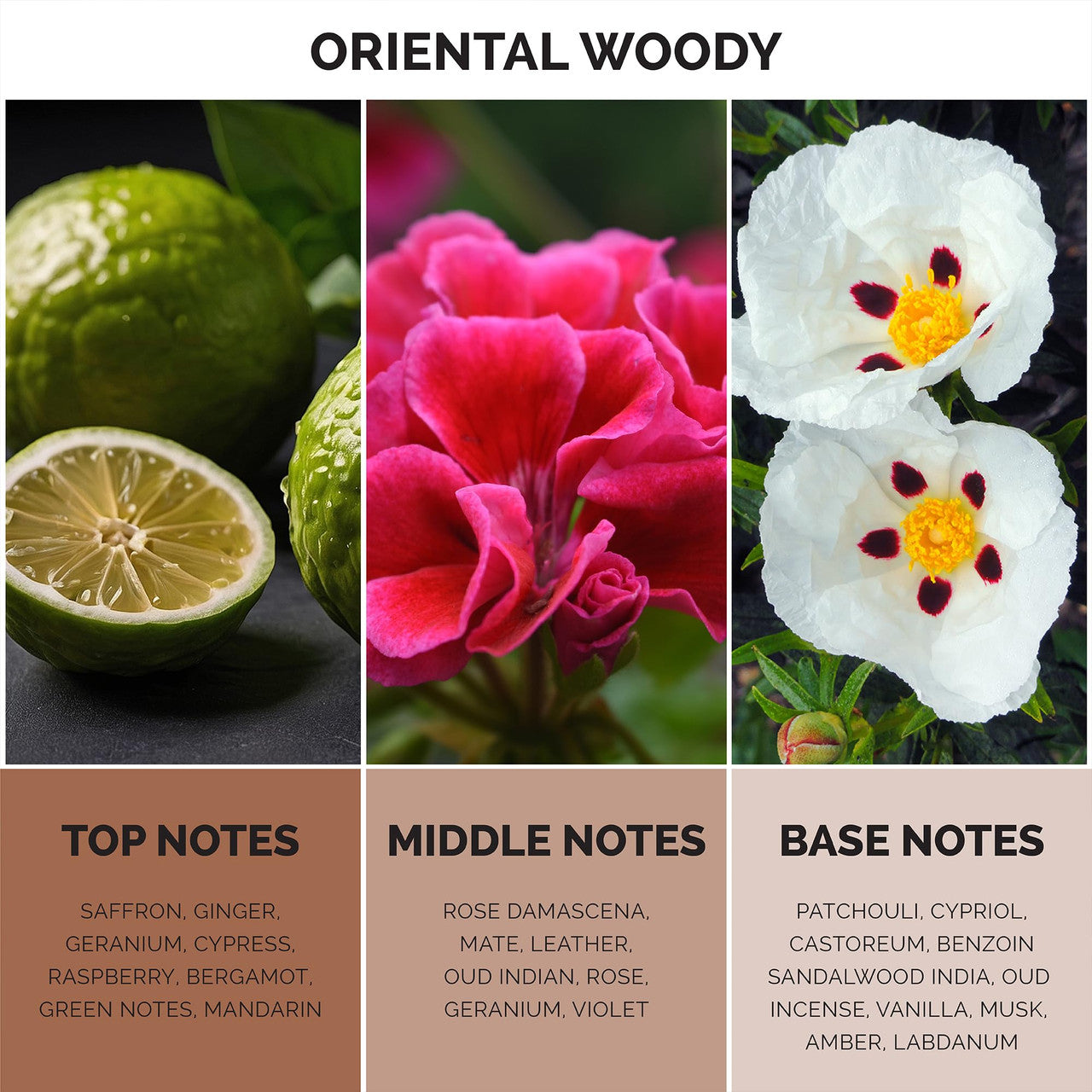 MAISON DE L'AVENIR OPULENT ODYESSY EDP 3.4 U-2