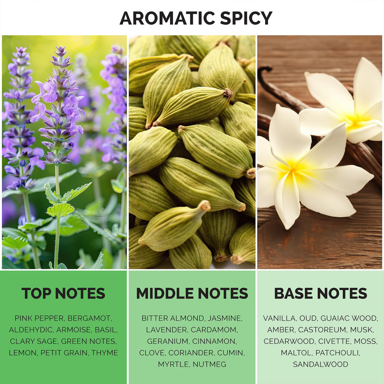 MAISON DE L'AVENIR MAJESTIC MILLENIUM EDP 3.4 U-2