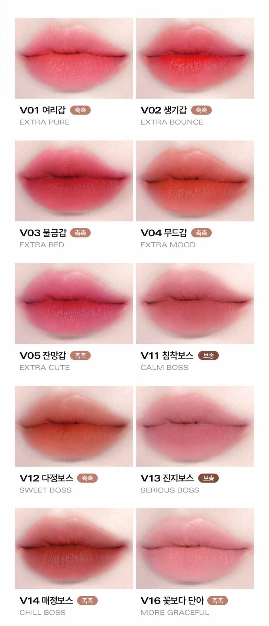 BBIA Last Velvet Tint 5g (32colors) - JOSEPH BEAUTY
