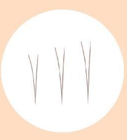 Faux Cils Fillimilli Point Piece (4,5,6MM) (90pcs) #Cils Inférieurs Naturels