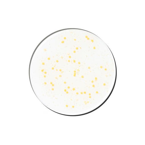 Genabelle PDRN Vita Toning Ampoule 30ml - JOSEPH BEAUTY