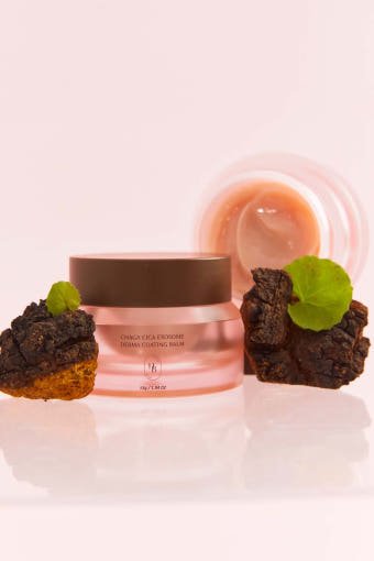 HEVEBLUE Chaga Cica Exosome Derma Coating Balm 55g - JOSEPH BEAUTY