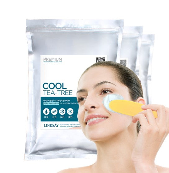 LINDSAY Premium Modeling Pack 1kg #Cool Teebaum