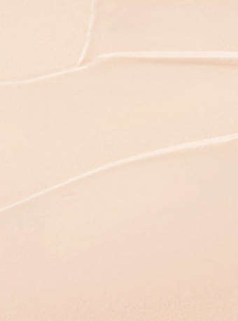 Dinto Blur-Finish Cushion Refills 901 Pure Wooncho