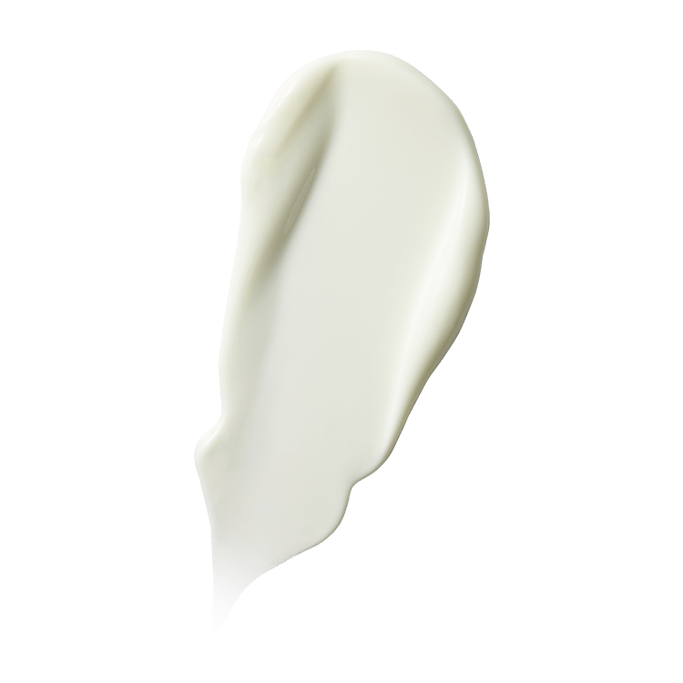 YUNJAC Perfect UV Solution Daily Lightweight Sun Protection SPF50+ PA++++ 40ml - JOSEPH BEAUTY