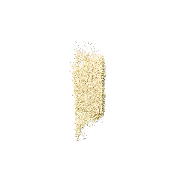 YUNJAC Whole Plant Effect Daily Foam & Exfoliant 2g X 16ea