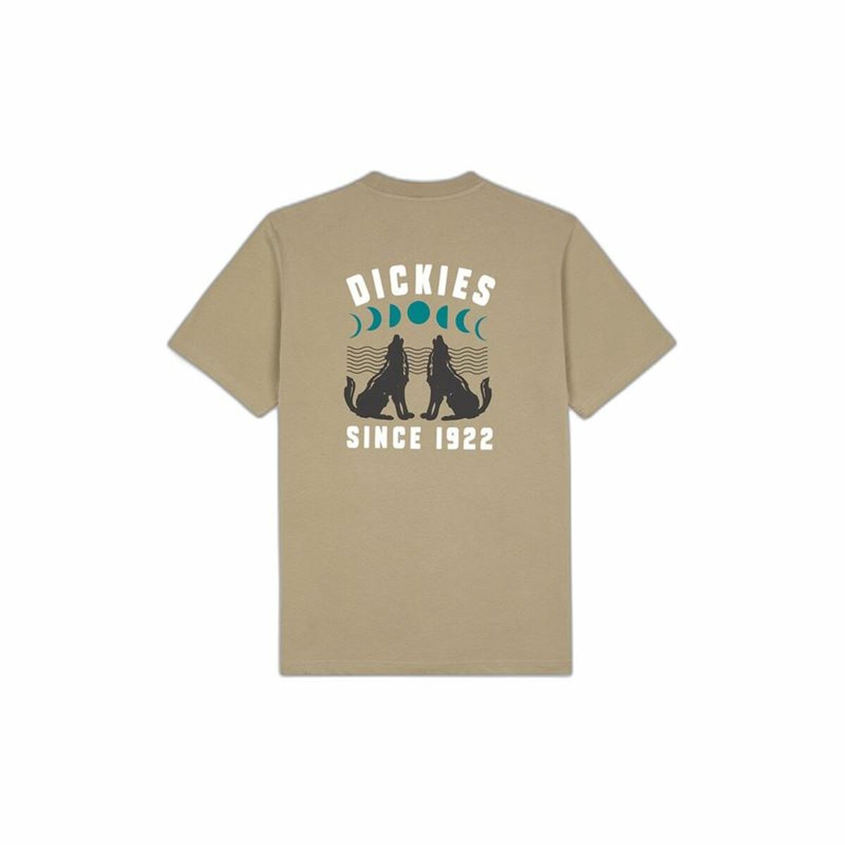 T-shirt Dickies Kerby Brown Men