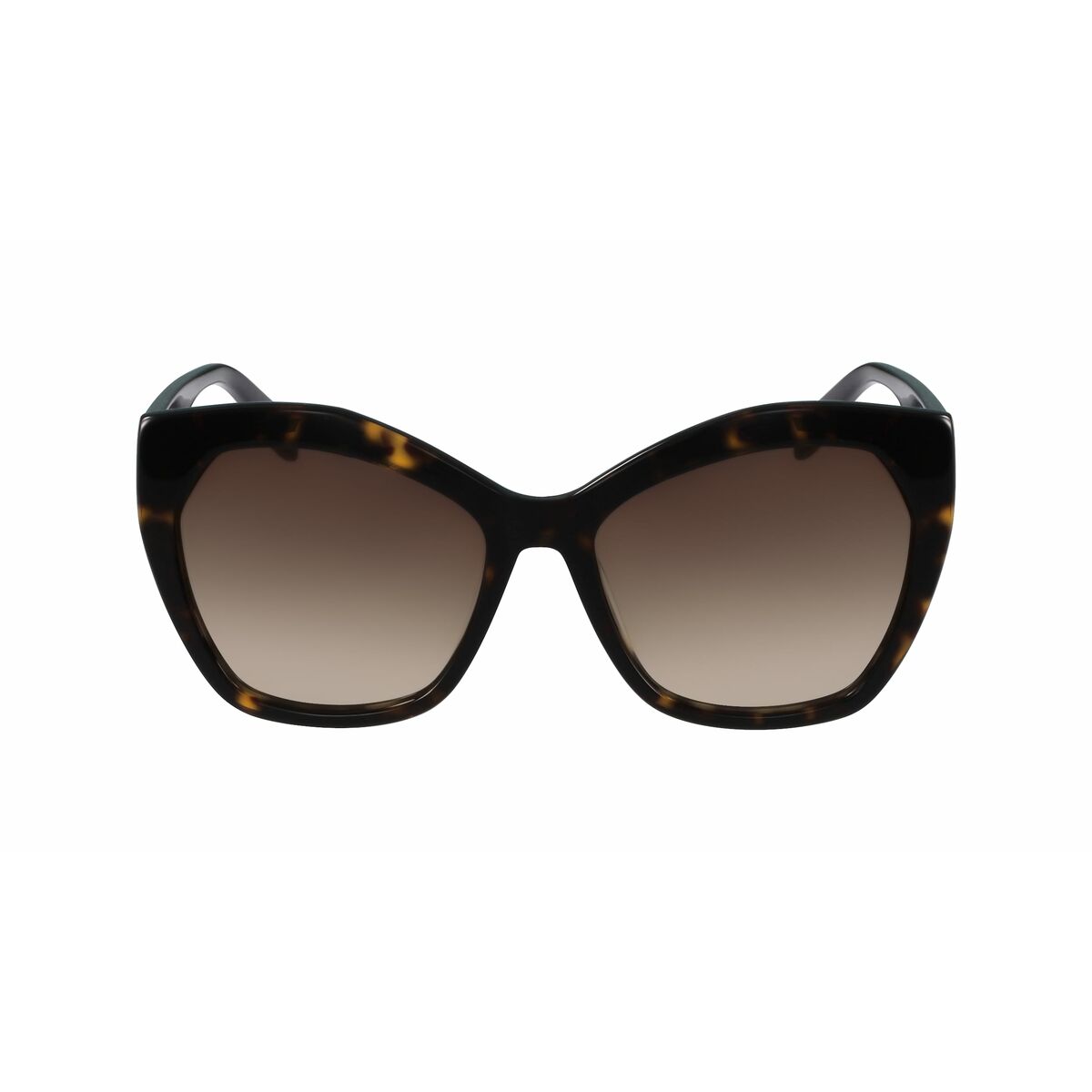 Ladies' Sunglasses Karl Lagerfeld KL929S-13