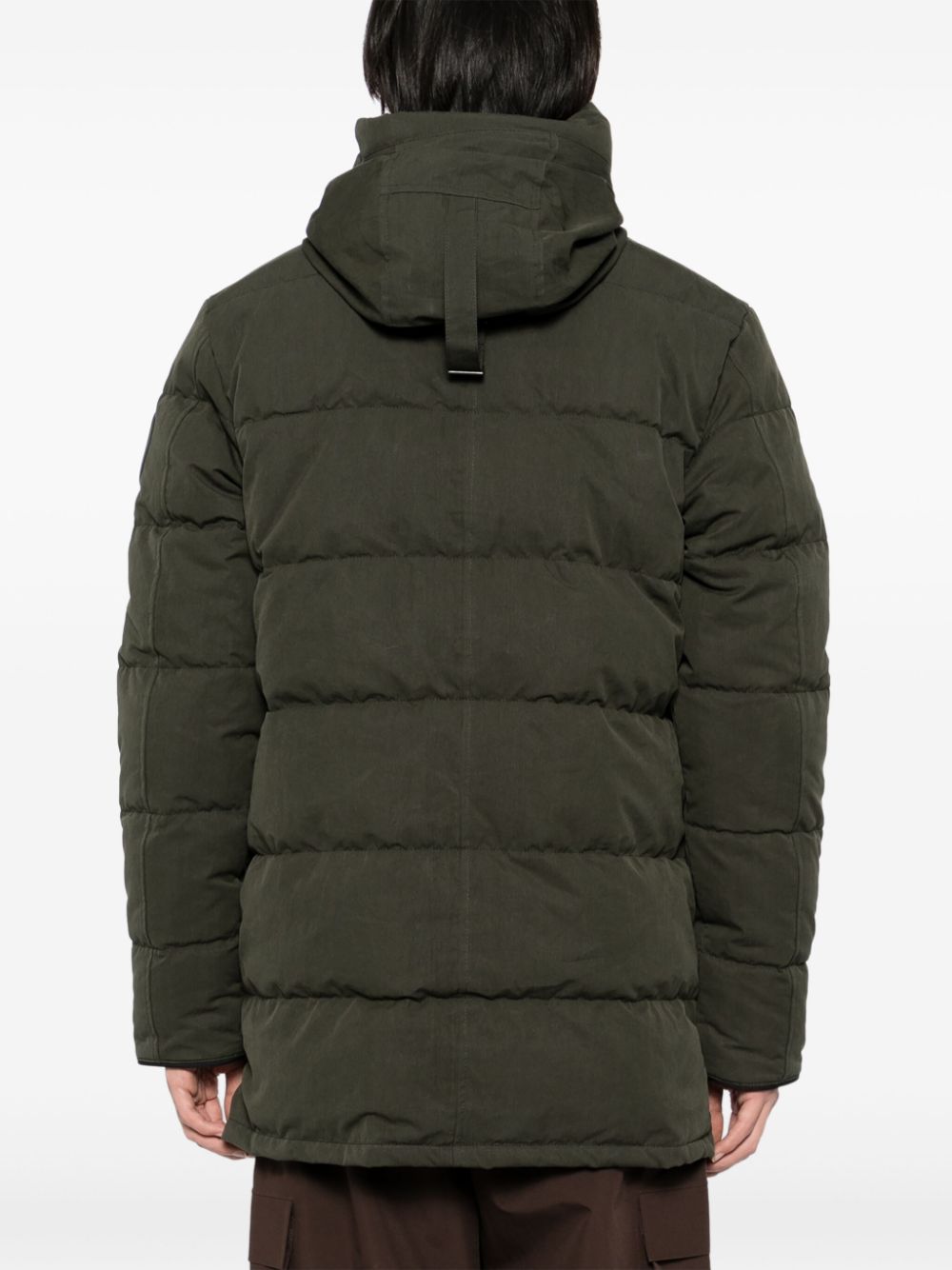 Canada Goose Coats Green