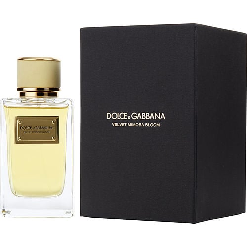 Dolce & Gabbana Dolce & Gabbana Velvet Mimosa Bloom Eau De Parfum Spray 5 Oz