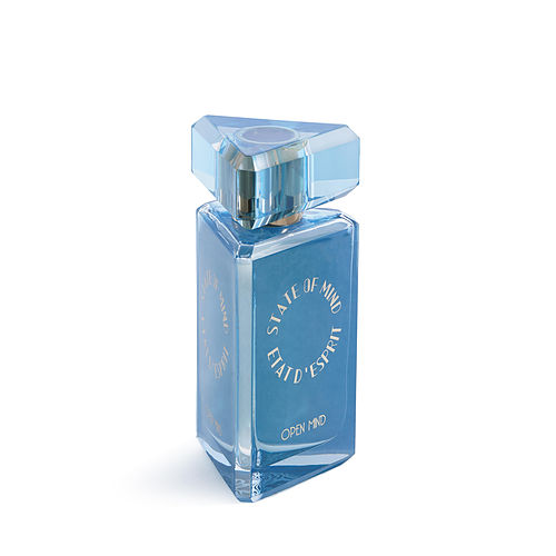 State Of Mindstate Of Mind Open Mindeau De Parfum Spray 3.4 Oz