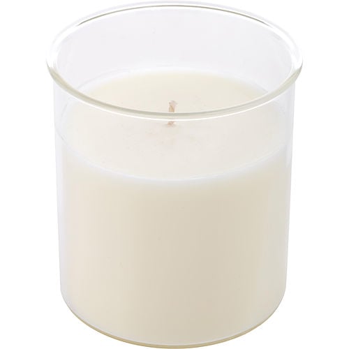 Northern Lights Sparkling Champagne Esque Candle Insert 9 Oz