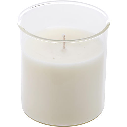 Northern Lights Ginger Tea & Lemon Esque Candle Insert 9 Oz