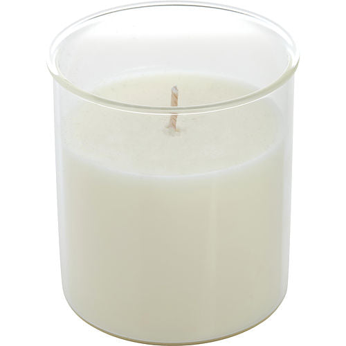 Northern Lights Lavender & Honey Esque Candle Insert 9 Oz