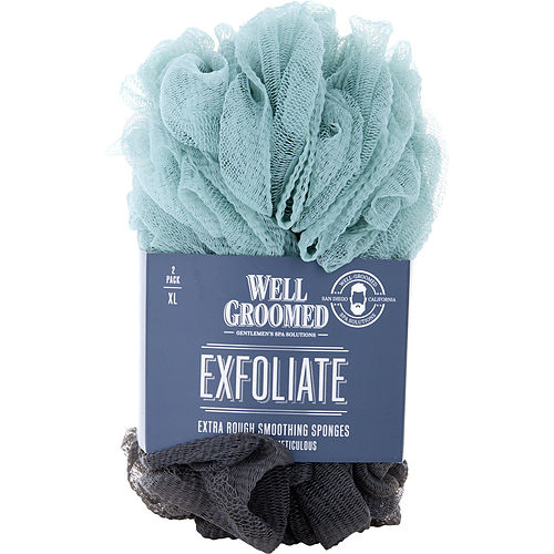 Spa Accessoriesspa Accessoriesexfoliate Extra Rough Smoothing Sponges 2 Pack - Charcoal/Marine Mist