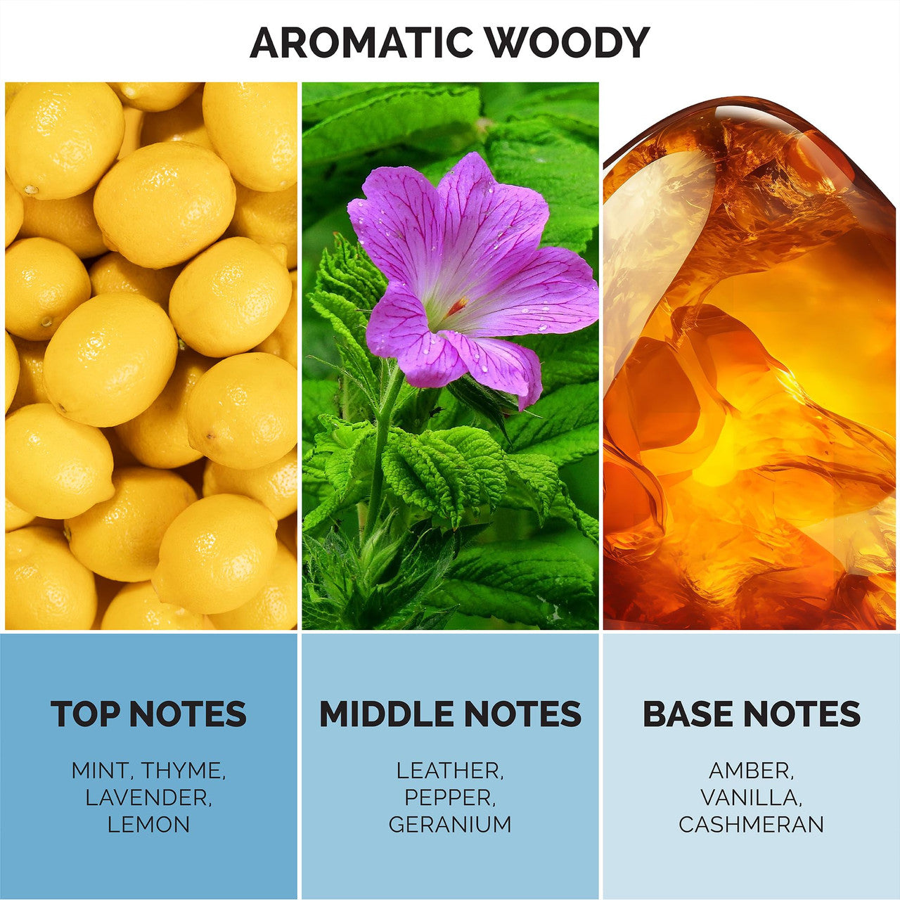 MAISON DE L'AVENIR NEBULA NECTAR EDP 3.4 U-2