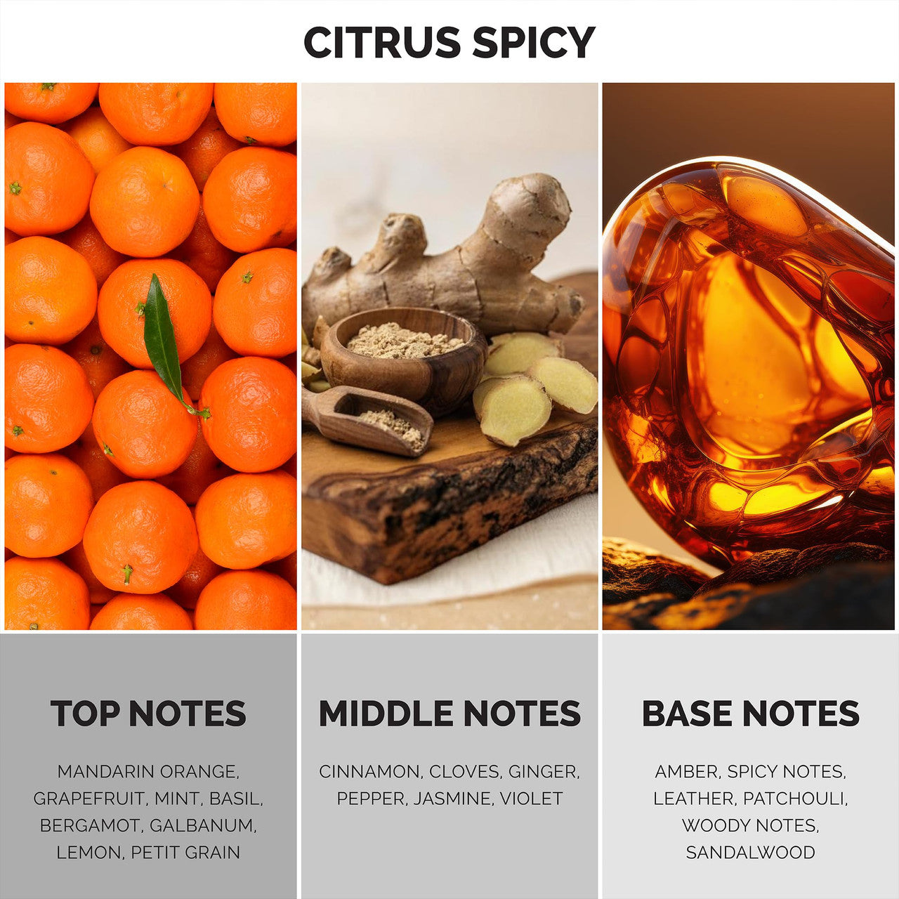 MAISON DE L'AVENIR AVENIR TRIUMPH EDP 3.4 U-2