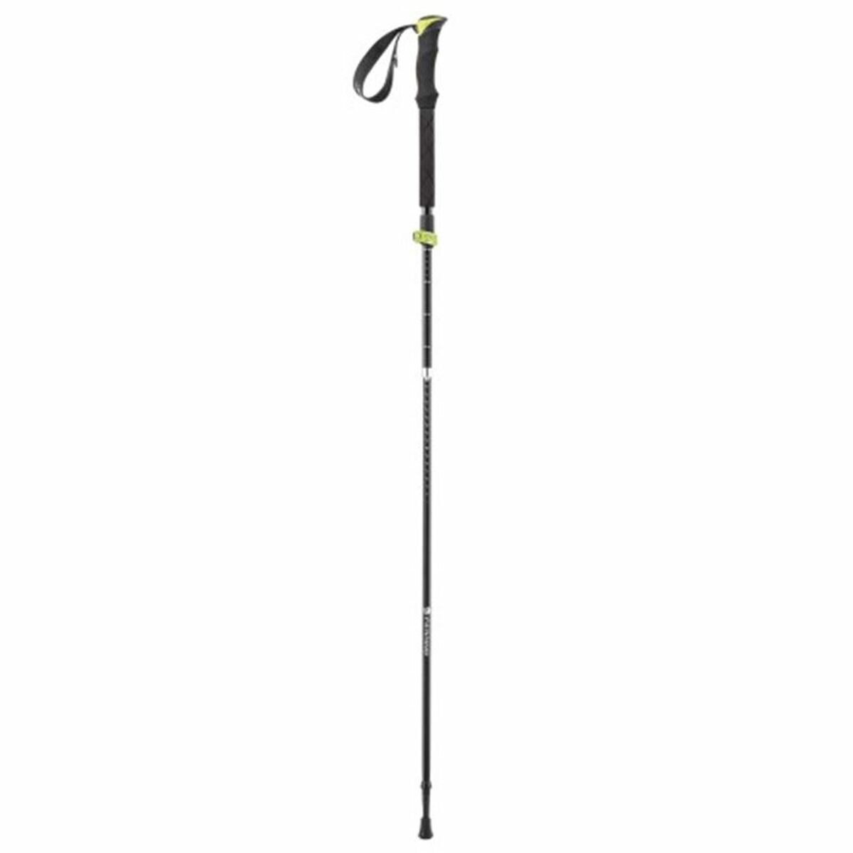 Set of 2 trekking poles Ferrino Spantik