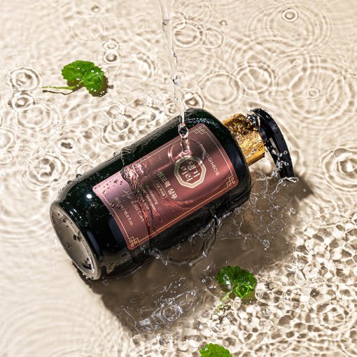 [Daeng Gi Meo Ri] Revitalizing Scalp Shampoo (For All Hair Types) Hair Loss Care 500ml - JOSEPH BEAUTY