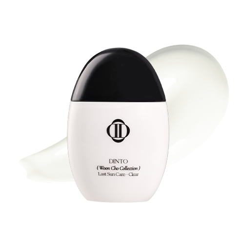 Dinto [Wooncho Collection] Last Sun Care SPF 50+PA++++ 50ml
