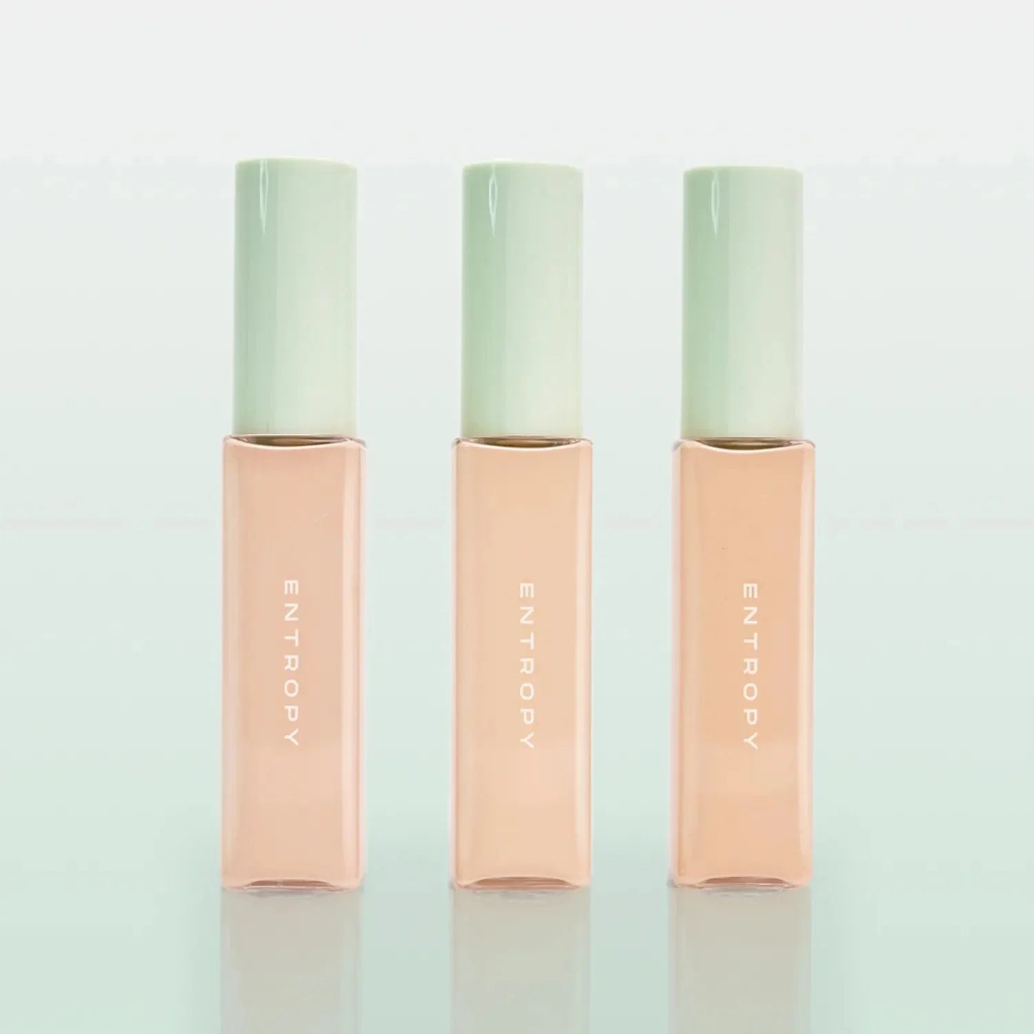 ENTROPY Organza Fit Spatula Foundation 40g