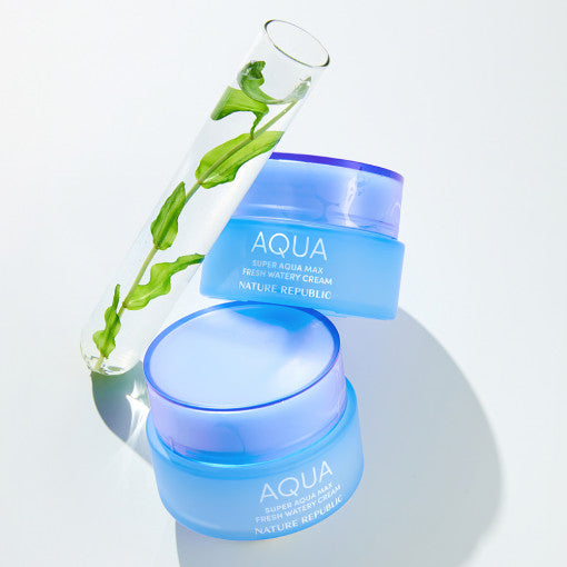 NATURE REPUBLIC Super Aqua Max Frische wässrige Creme 80ml