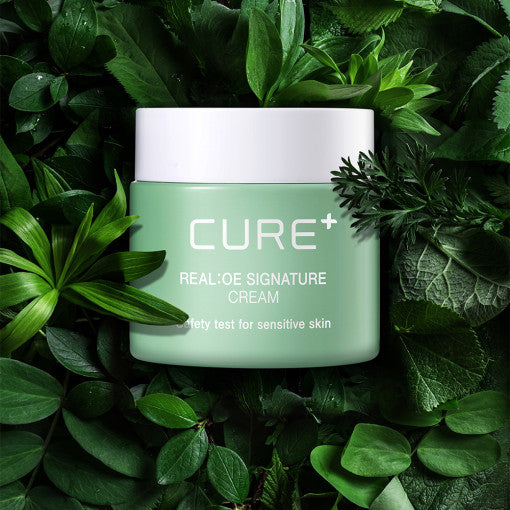 [KIM JEONG MOON Aloe] Cure Realoe Signature Cream 55g