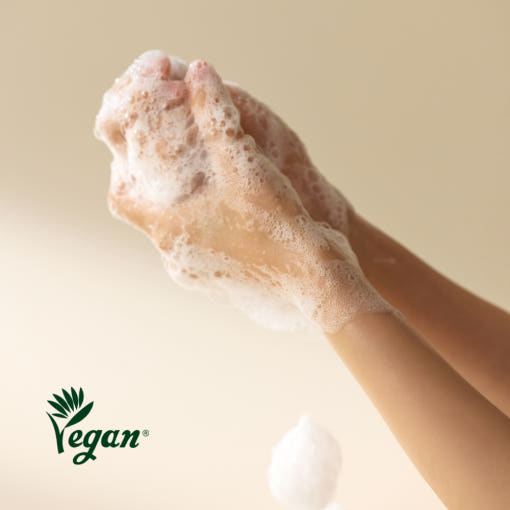 Gel douche et mains Innisfree Isle Number 300 ml #Essence de thé vert 