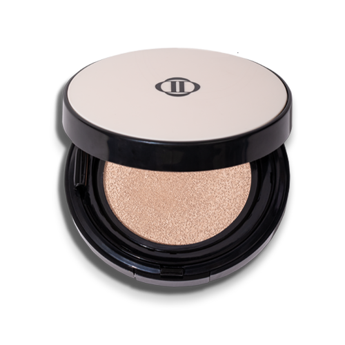 Dinto Blur-Finish Cushion 12g