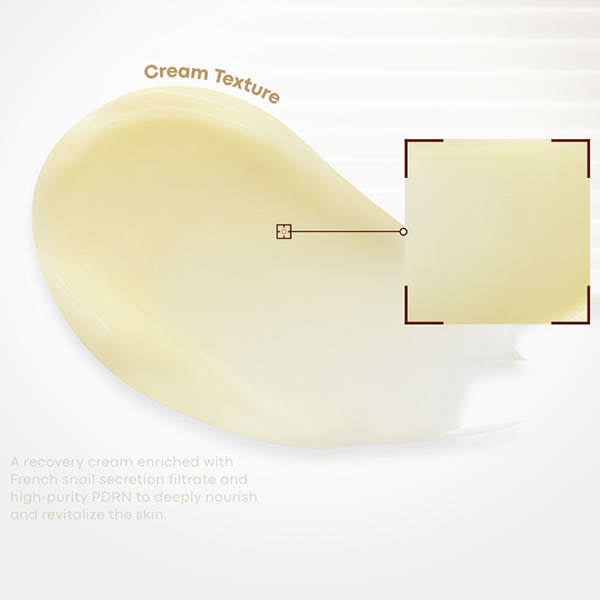 TONYMOLY Snail PDRN Recovery Cream 50ml - JOSEPH BEAUTY