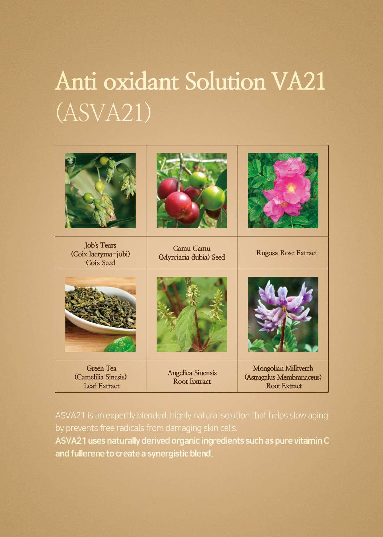 Relaco VA21 PREMIUM PURE VITAMIN C SERUM SET (14ml X 3ea)