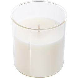 Fragrance Free Fragrance Free Esque Candle Insert 9 Oz